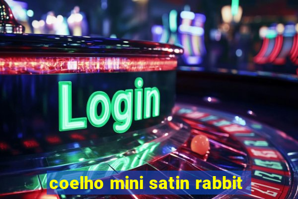 coelho mini satin rabbit